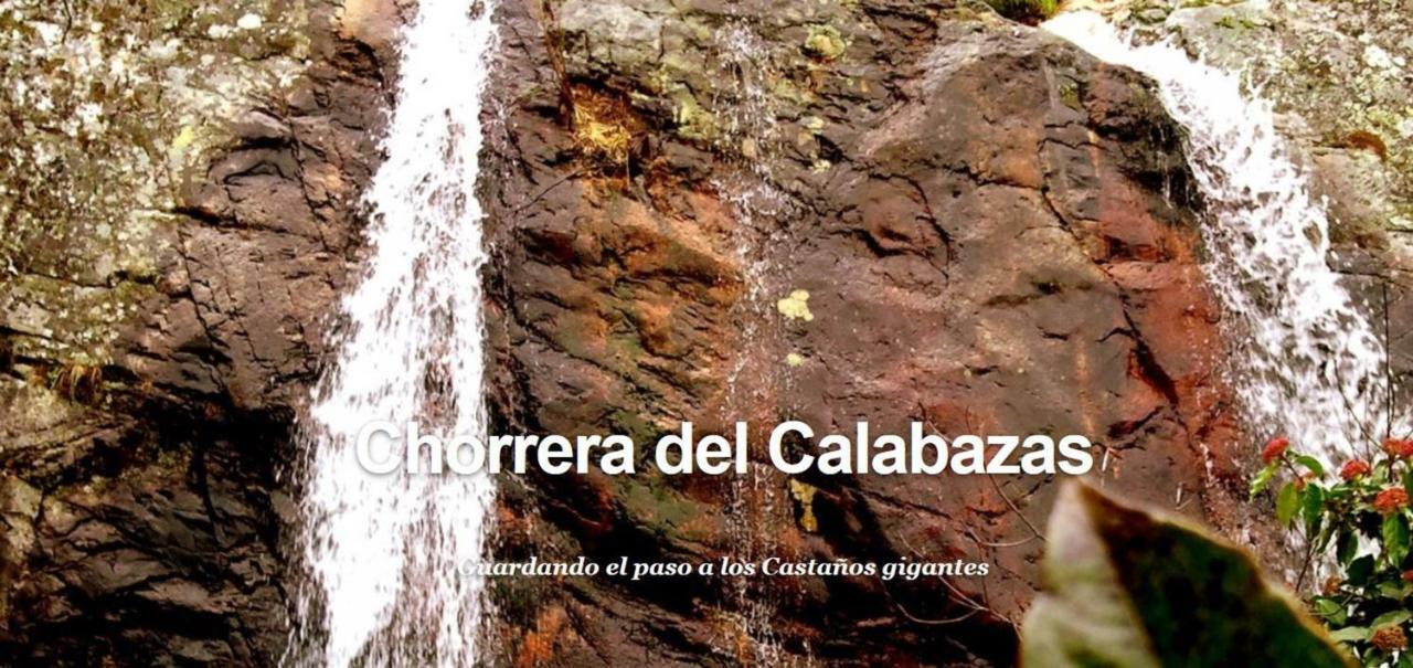 Casa Rural Juanin - Alojamiento Turistico Gold Fresnedoso de Ibor Zewnętrze zdjęcie
